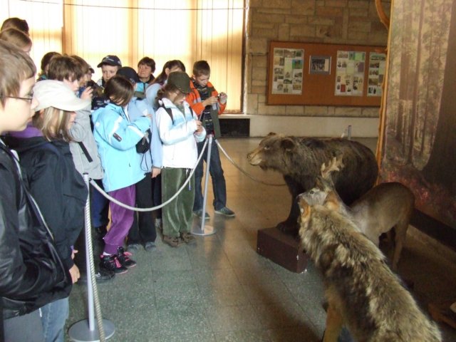 zielonaszkoa2010109.jpg