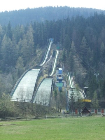 zielonaszkoa2010116.jpg