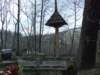 zielonaszkoa2010144_small.jpg