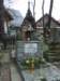 zielonaszkoa2010145_small.jpg