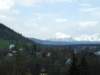 zielonaszkoa2010148_small.jpg