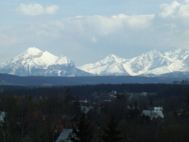 zielonaszkoa2010149.jpg