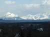 zielonaszkoa2010149_small.jpg