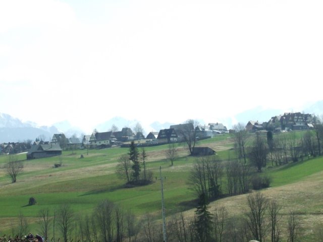 zielonaszkoa2010152.jpg