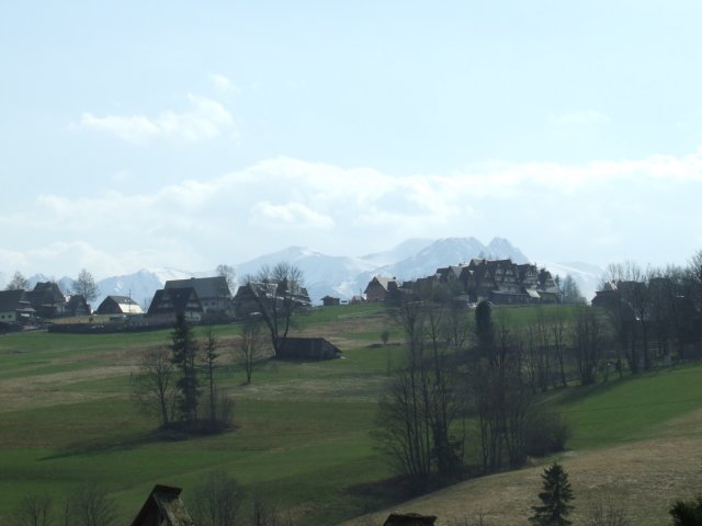zielonaszkoa2010155.jpg
