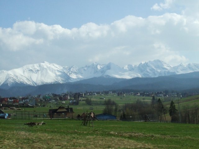 zielonaszkoa2010157.jpg