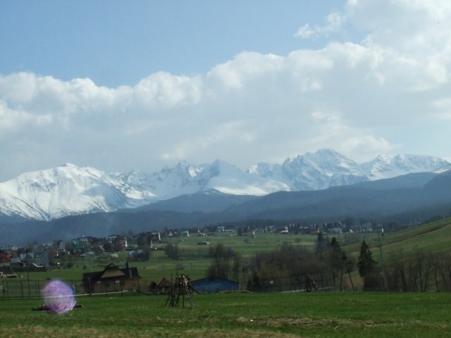 zielonaszkoa2010158.jpg