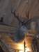 zielonaszkoa2010169_small.jpg