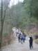zielonaszkoa2010185_small.jpg
