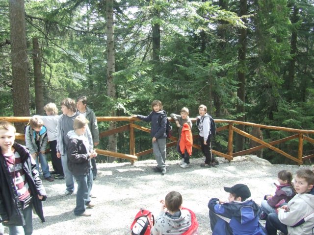 zielonaszkoa2010190.jpg