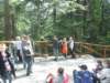 zielonaszkoa2010190_small.jpg