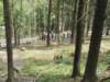 zielonaszkoa2010210_small.jpg