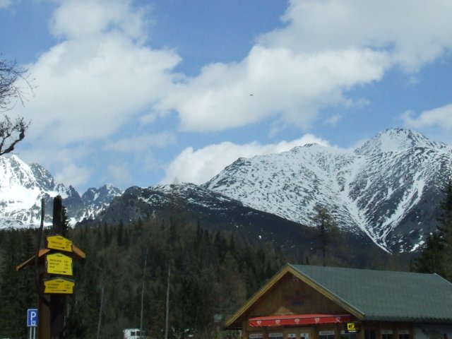 zielonaszkoa2010216.jpg