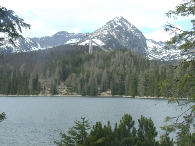 zielonaszkoa2010225.jpg