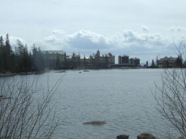zielonaszkoa2010226.jpg