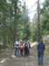 zielonaszkoa2010227_small.jpg