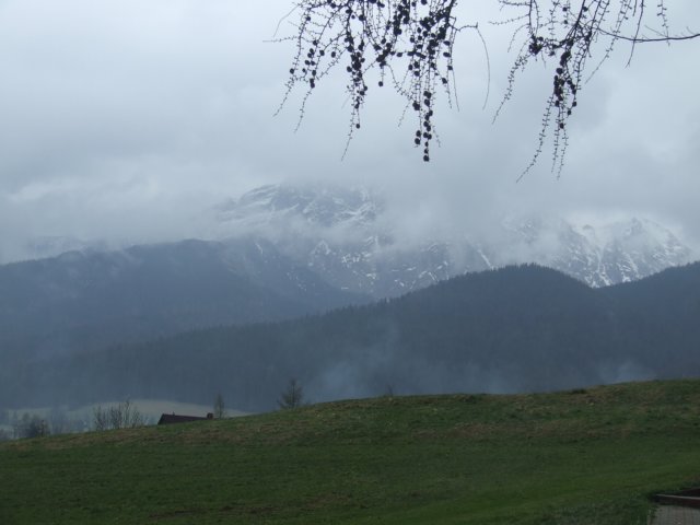 zielonaszkoa2010244.jpg
