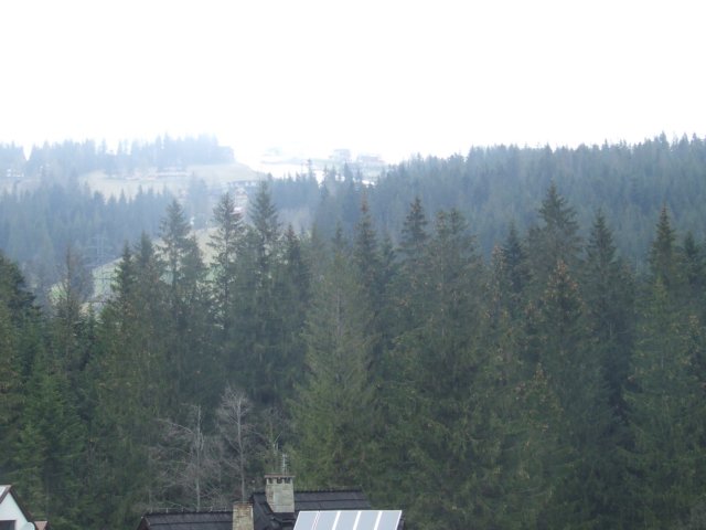 zielonaszkoa2010248.jpg