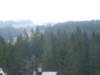 zielonaszkoa2010248_small.jpg