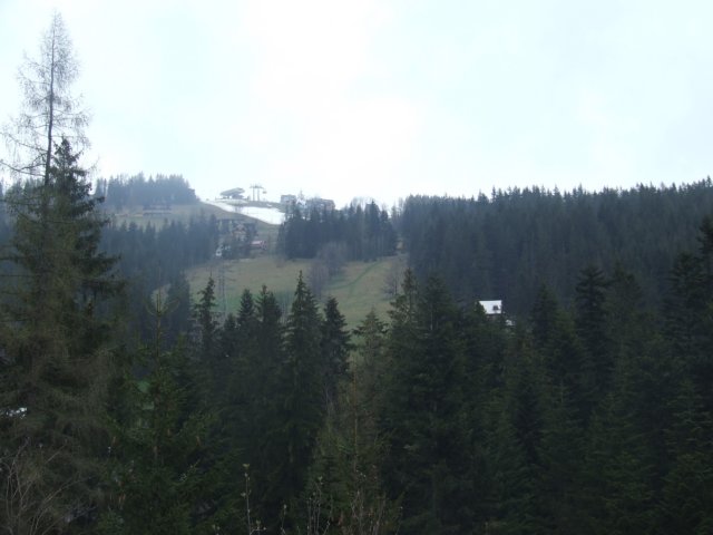 zielonaszkoa2010249.jpg