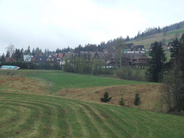 zielonaszkoa2010251.jpg