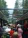 zielonaszkoa2010267_small.jpg