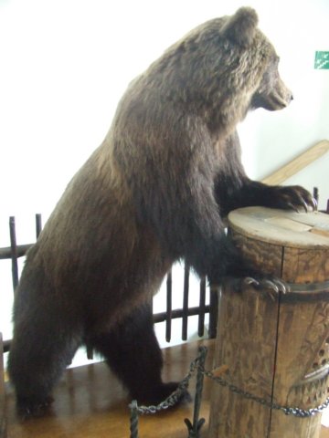 zielonaszkoa2010281.jpg