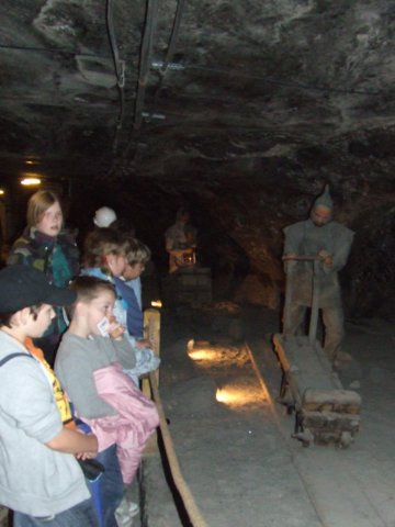 zielonaszkoa2010347.jpg