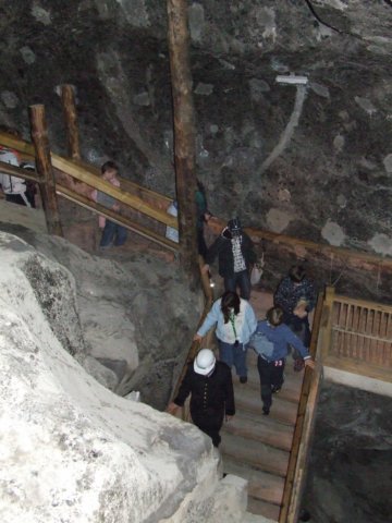 zielonaszkoa2010362.jpg