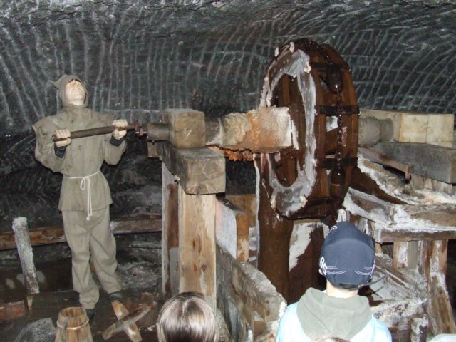 zielonaszkoa2010369.jpg
