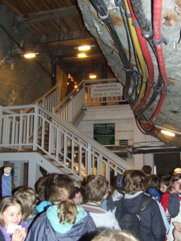 zielonaszkoa2010381.jpg
