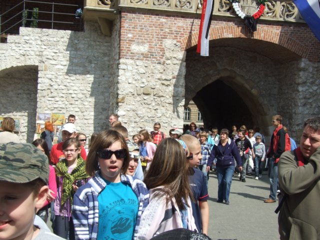 zielonaszkoasuche2010003.jpg