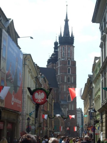 zielonaszkoasuche2010005.jpg