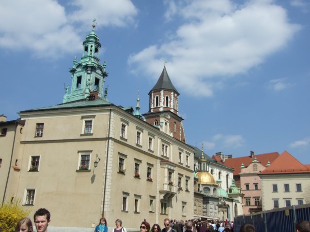 zielonaszkoasuche2010015.jpg