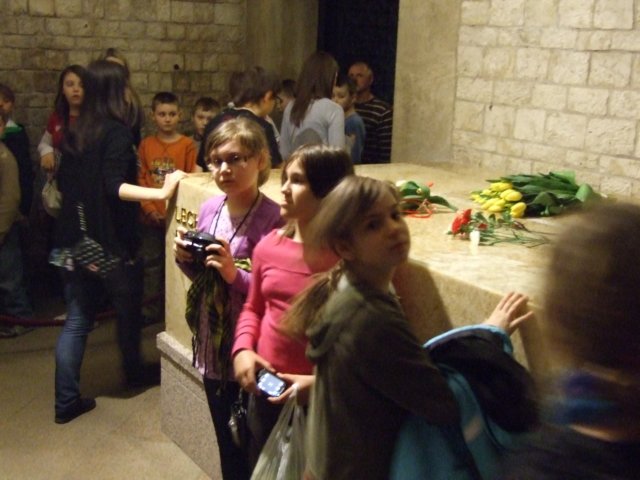 zielonaszkoasuche2010019.jpg