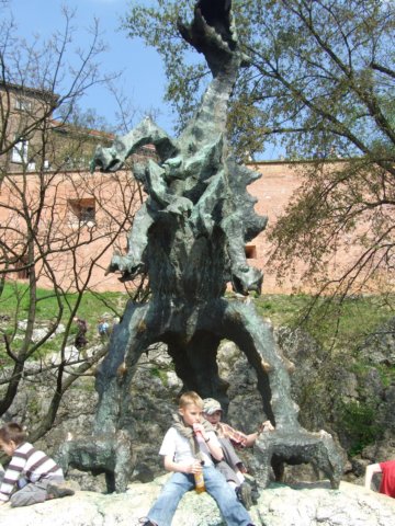 zielonaszkoasuche2010029.jpg
