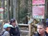 zielonaszkoasuche2010051_small.jpg