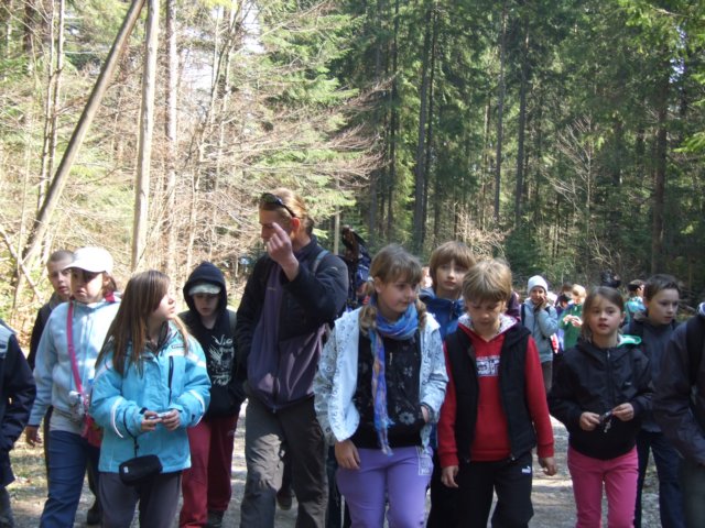 zielonaszkoasuche2010053.jpg