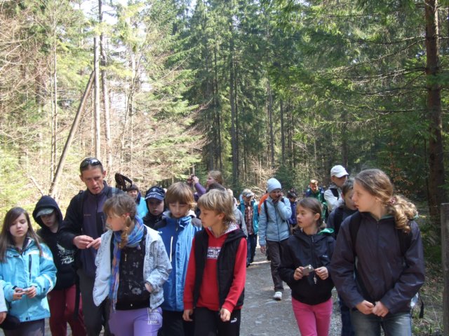 zielonaszkoasuche2010054.jpg