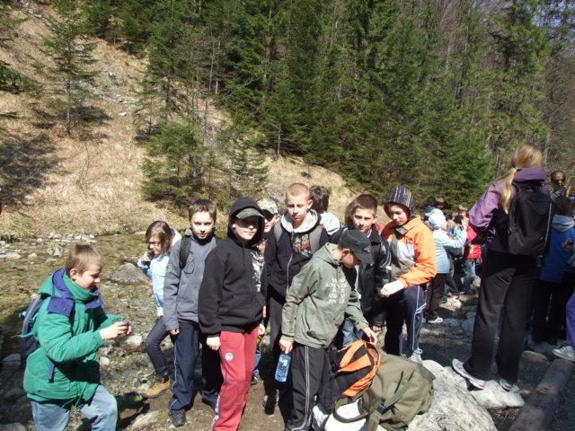 zielonaszkoasuche2010064.jpg