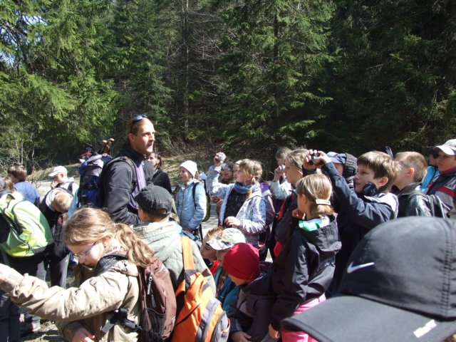 zielonaszkoasuche2010068.jpg