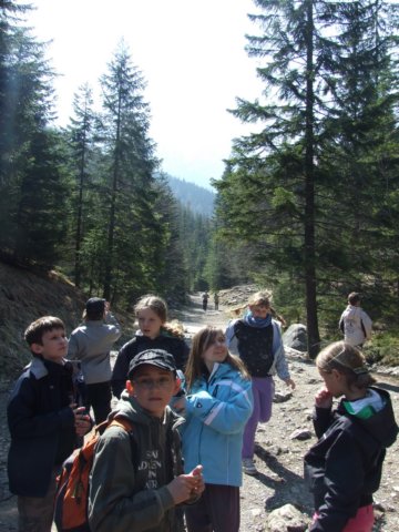 zielonaszkoasuche2010071.jpg