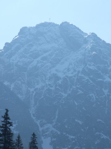 zielonaszkoasuche2010080.jpg