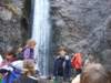 zielonaszkoasuche2010086_small.jpg