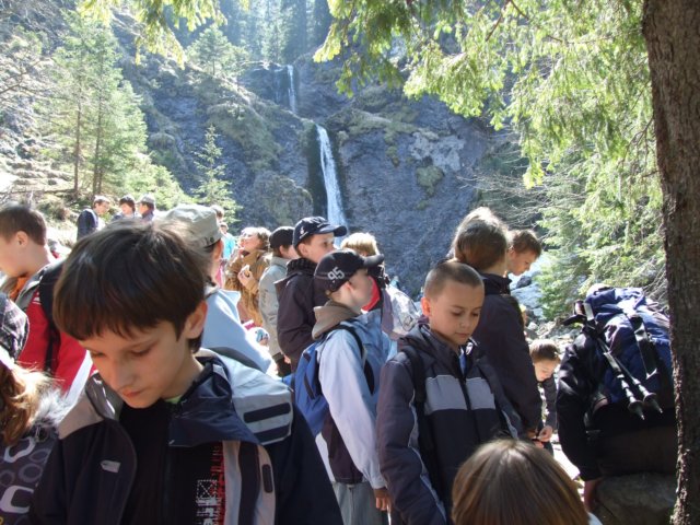 zielonaszkoasuche2010089.jpg