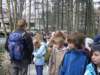 zielonaszkoasuche2010160_small.jpg
