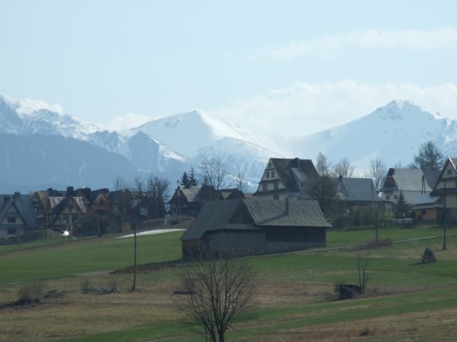 zielonaszkoasuche2010192.jpg