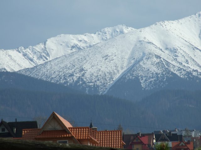 zielonaszkoasuche2010194.jpg
