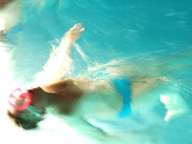 zielonaszkoasuche2010218.jpg