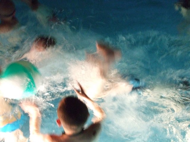 zielonaszkoasuche2010223.jpg